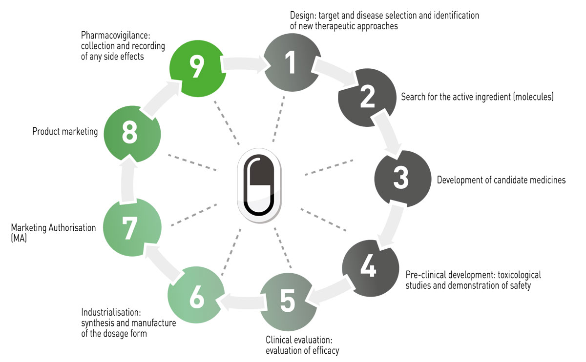 research-development-cycle